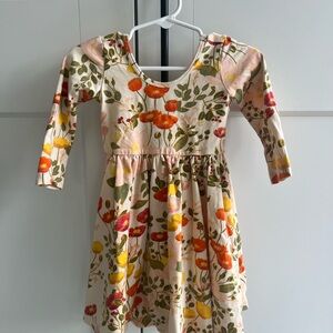 Alice + Ames ballet dress in Botany (sold out print) 3T EUC